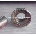 din6923 zinc plated flange nut,serrated flange nut grade4.8/8.8/10.9